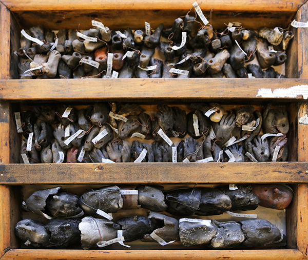 21816996669 cf93d70ab0 o