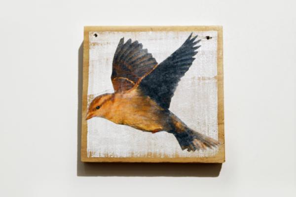 DD exhibition IMG 0308